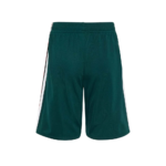 Mexico 2026 Kids Away Kit Short Back.jpg